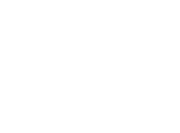 Light Logo